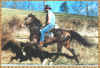 Rawhide.jpg (111714 bytes)
